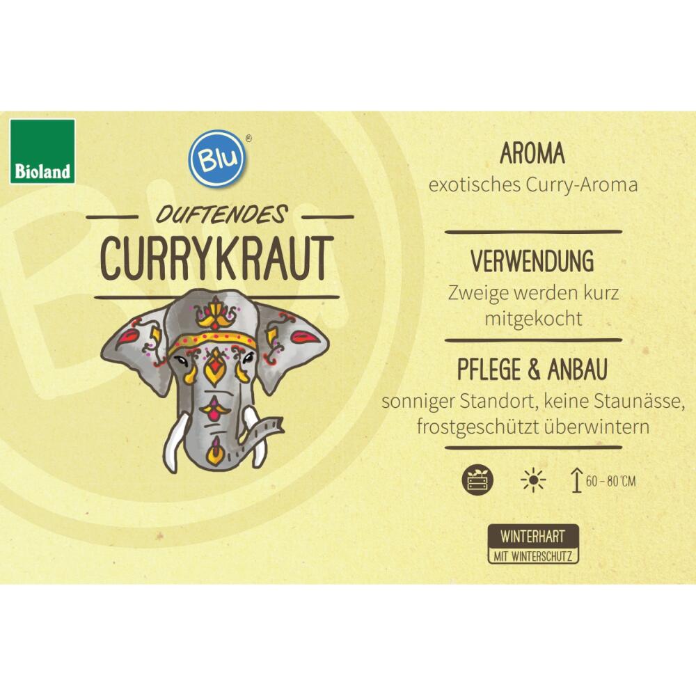 Currykraut – Original-Shopansicht 2