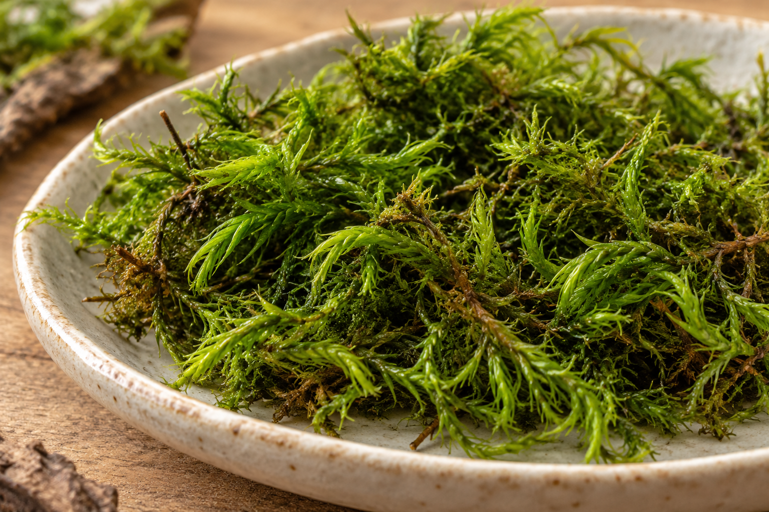 AI close-up of loose green tufts with narrow pointed leaves partly leaning to one side in a shallow bowl