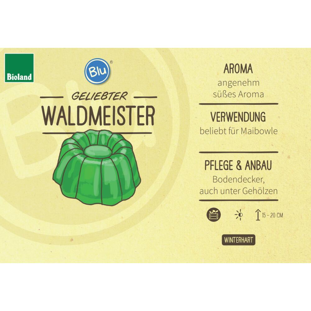 Waldmeister – Original-Shopansicht 2