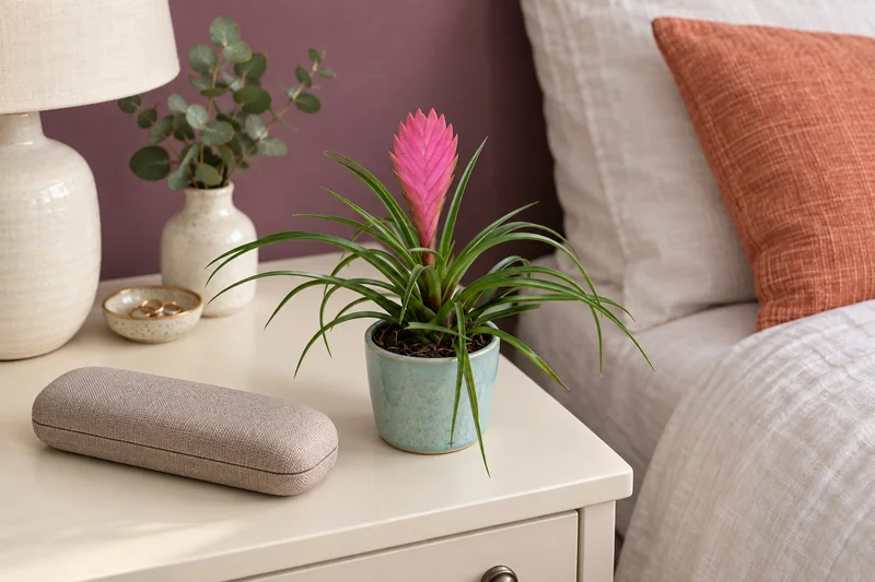 Wallisia cyanea · Synonym Tillandsia cyanea in einer KI-gestalteten Szene nach dem Original-Shopbild