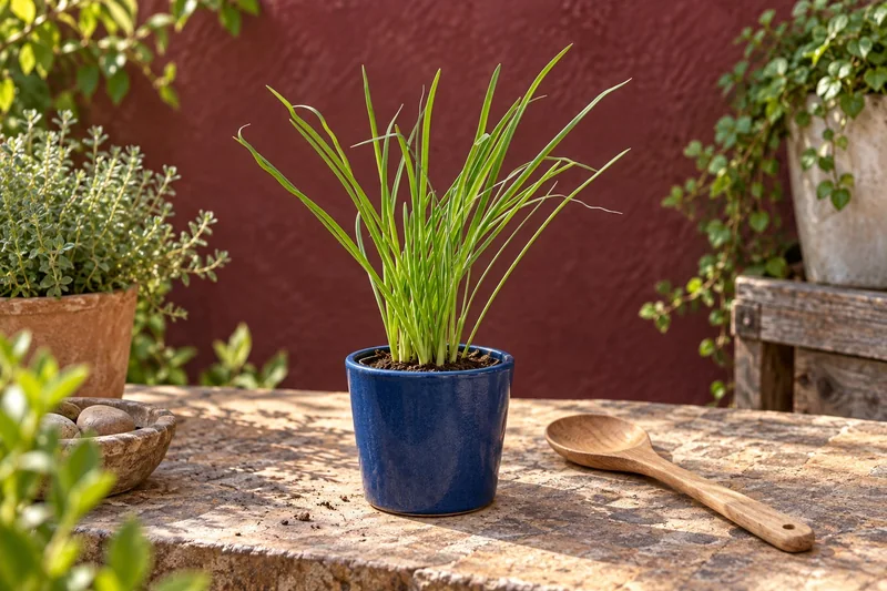 Knobi-Gras in einer KI-gestalteten Szene nach dem Original-Shopbild
