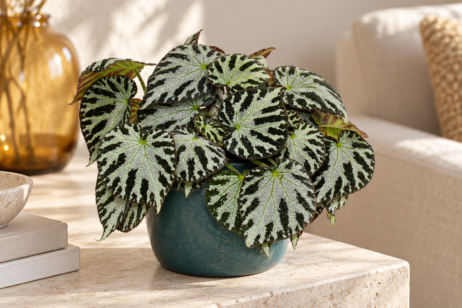AI-created scene of a young Silver Jewel foliage begonia with silver and green patterned leaves