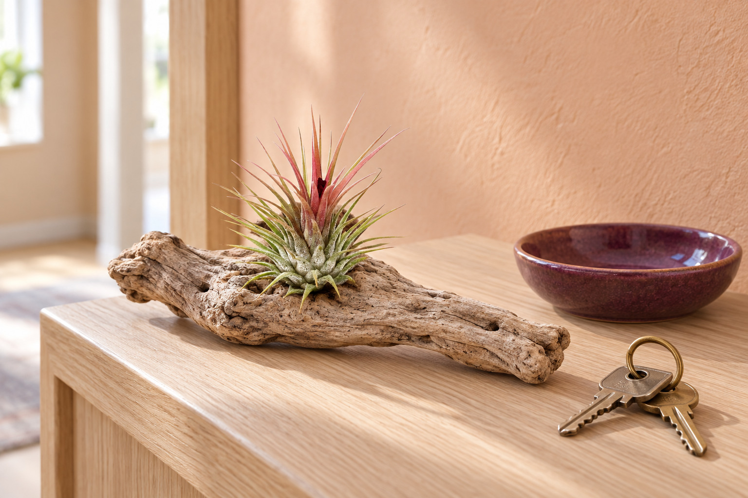 Tillandsia ionantha in einer KI-gestalteten Szene nach dem Original-Shopbild